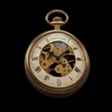 NAUTILUS - ICON