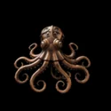 NAUTILUS - ICON