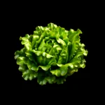 Garden Harvest - 3D Icon - 1