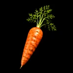 Garden Harvest - 3D Icon - 2