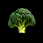 Garden Harvest - 3D Icon - 3