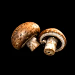 Garden Harvest - 3D Icon - 9