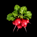 Garden Harvest - 3D Icon - 10