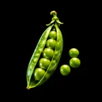 Garden Harvest - 3D Icon - 11