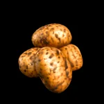 Garden Harvest - 3D Icon - 15
