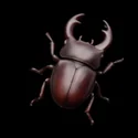 Jungle Critters - 3D Icon - 9