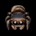Jungle Critters - 3D Icon - 14