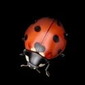 Jungle Critters - 3D Icon - 16