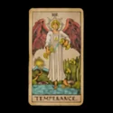 Thr Fortune Teller - 3D Icon - 2